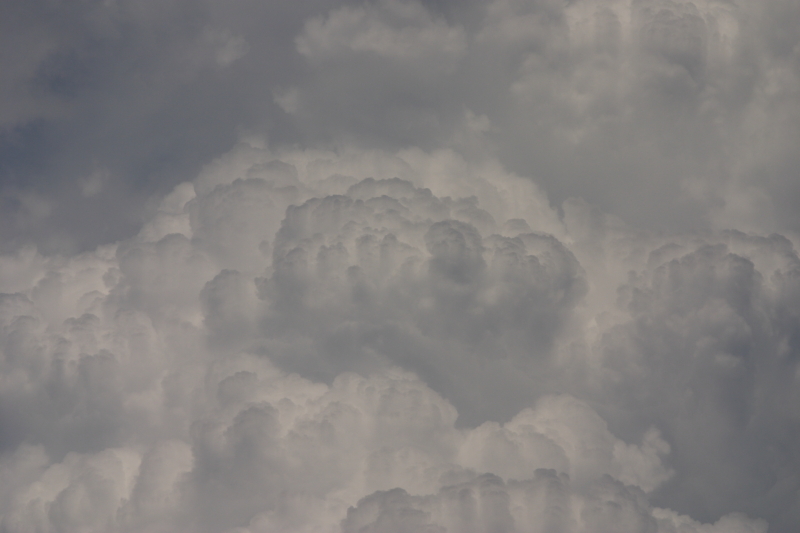 CRW_7645